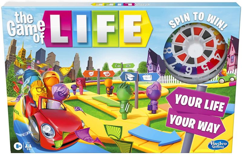 Rules of Life Board Game : How to Play The Game Of Life : Life Game Rules